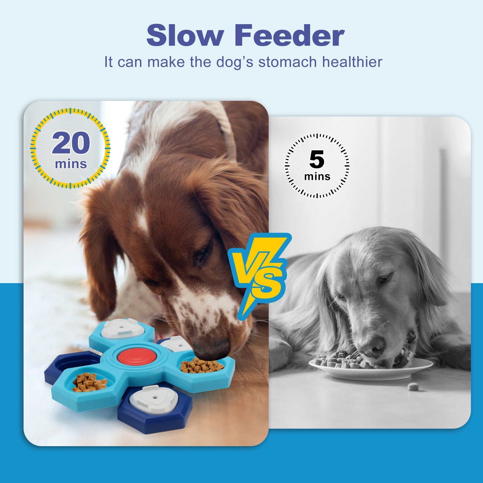 4 Layer Slow Feeder Dog Puzzle