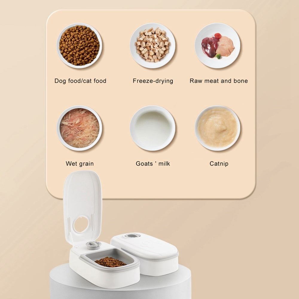 Budget Friendly Automatic Smart Pet Food Dispenser
