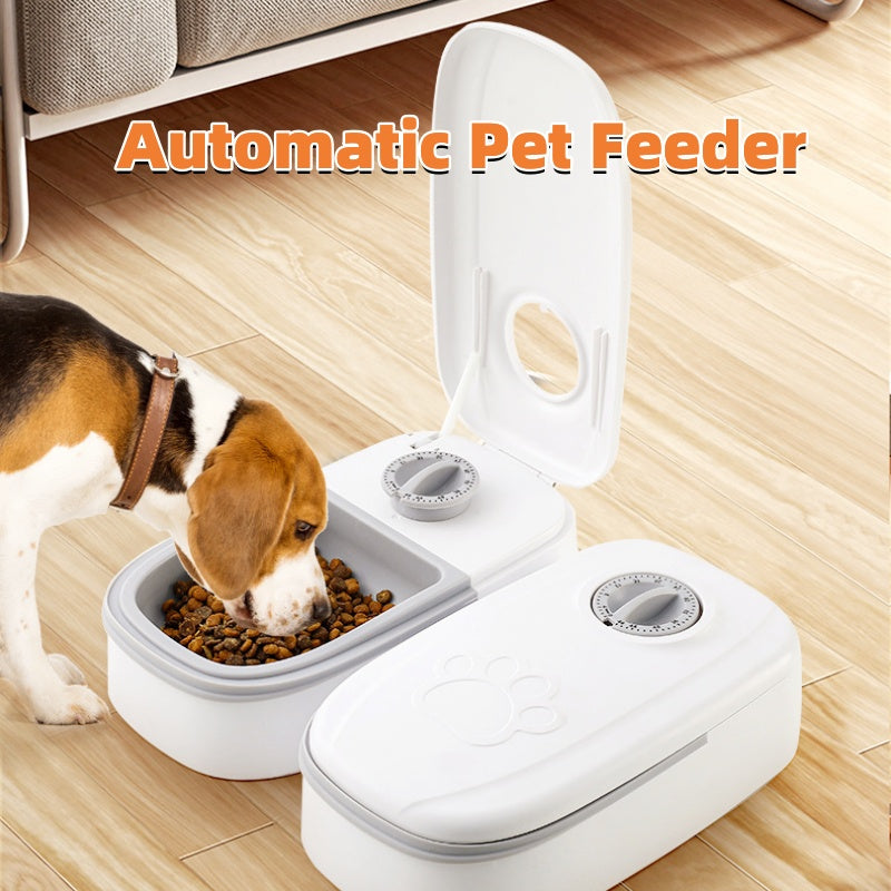 Budget Friendly Automatic Smart Pet Food Dispenser