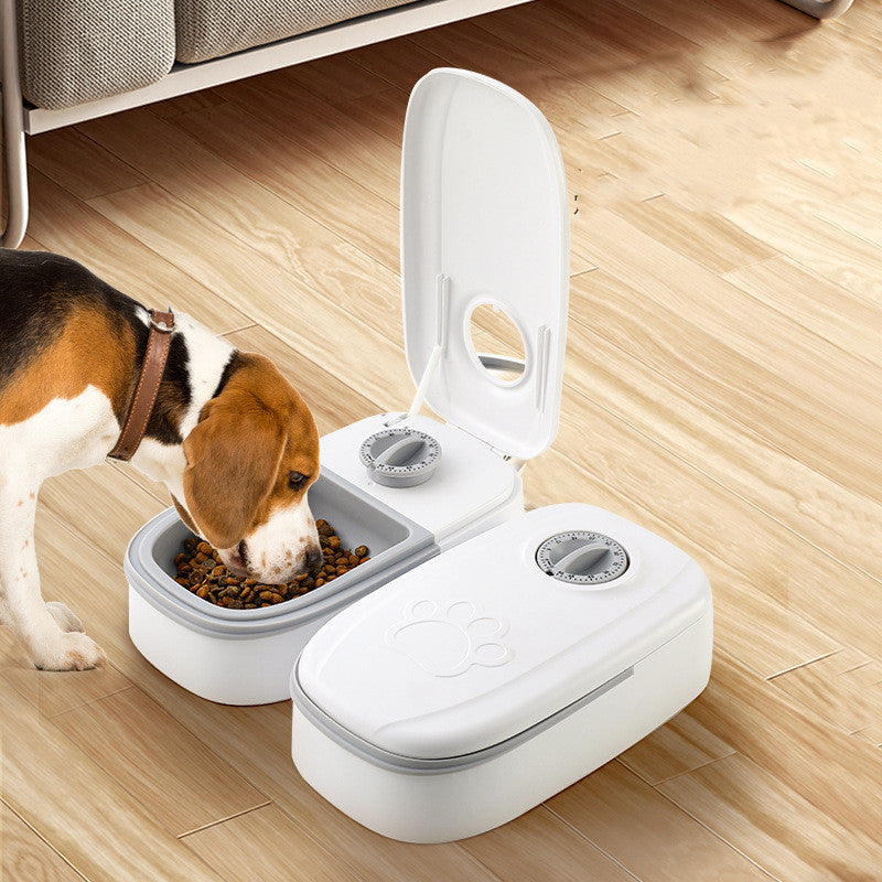 Budget Friendly Automatic Smart Pet Food Dispenser